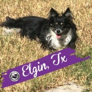 Meet your Posher, Marilee